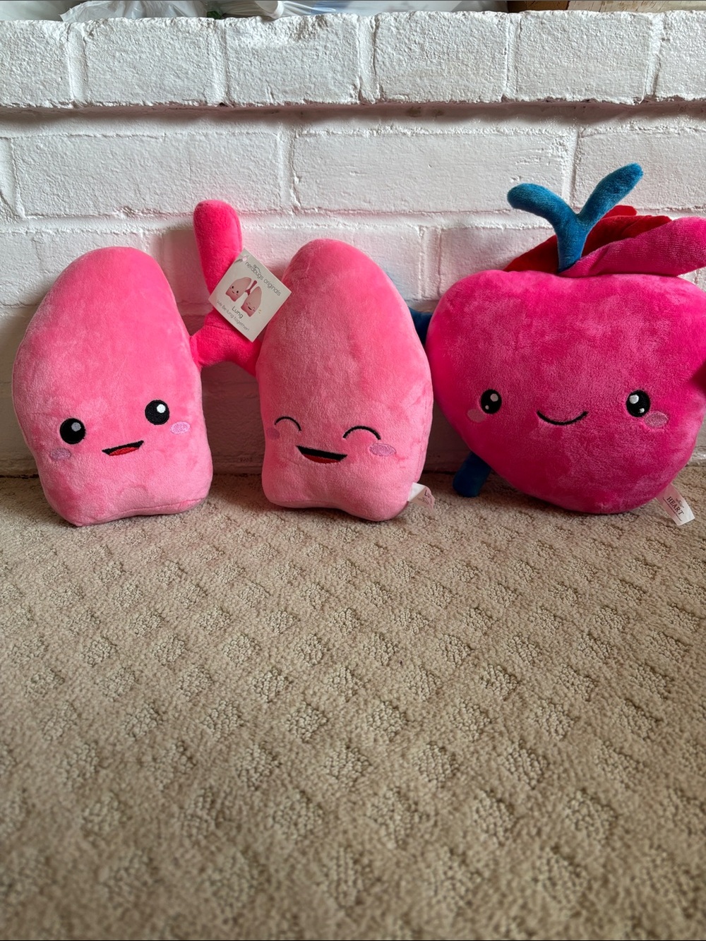 Nerdbugs Plush Organ Toy Set - Cute Heart & Lungs Plushies